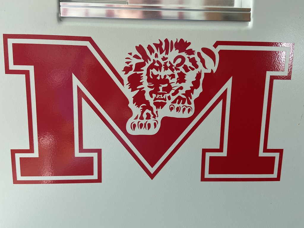 Lions Decal